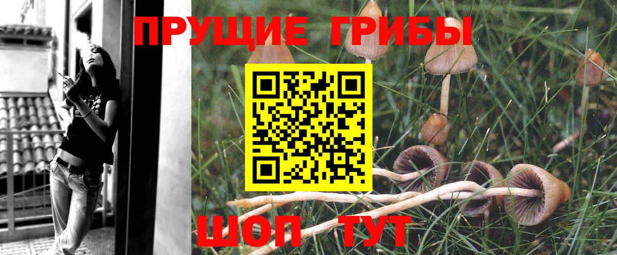 закладки  Псилоцибиновые грибы мицелий  Вход с VPN  Чусовой 